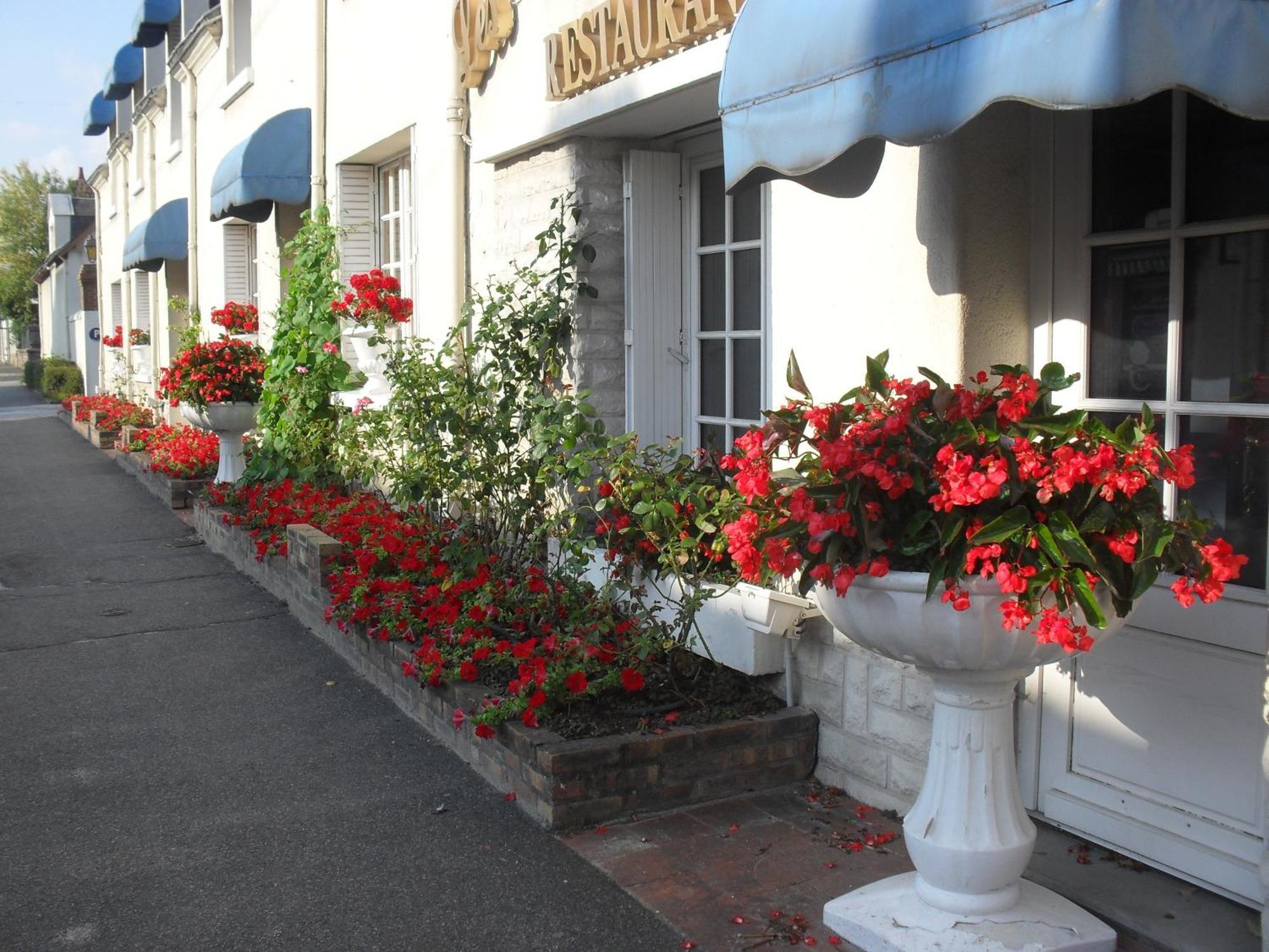 Hôtel de France - Restaurant Les Rois de France Le Controis-en-Sologne Exterior foto